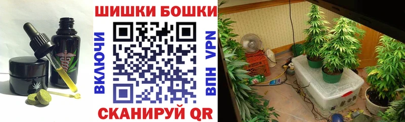 где купить   Свободный  OMG   Cannafood марихуана 