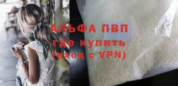 ГАЛЛЮЦИНОГЕННЫЕ ГРИБЫ Покров