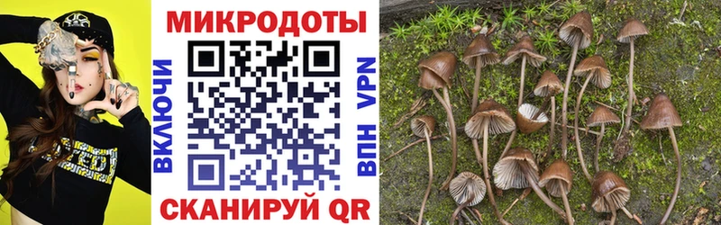 Галлюциногенные грибы Magic Shrooms  Свободный 
